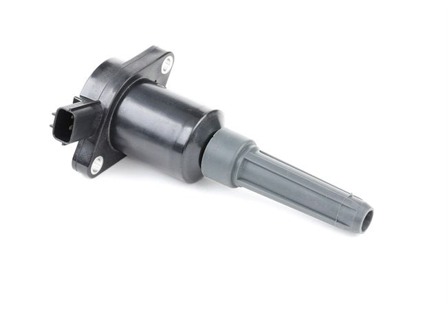 689C0292 RIDEX Zespół cewek Jaguar tanie