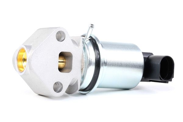 RIDEX 1145E0122 AGR-Ventil