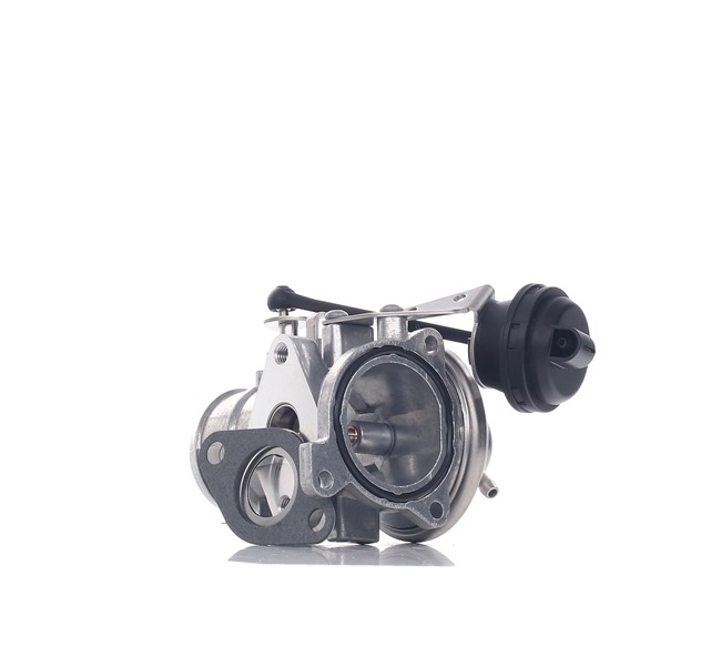RIDEX 1145E0141 Válvula EGR