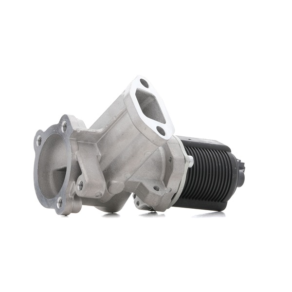 Ventil, udstødningskontrol 1145E0169 RIDEX 55206931 CITROËN