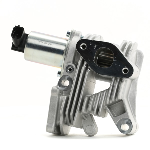 EGR ventil RENAULT STARK SKEGR-0770178