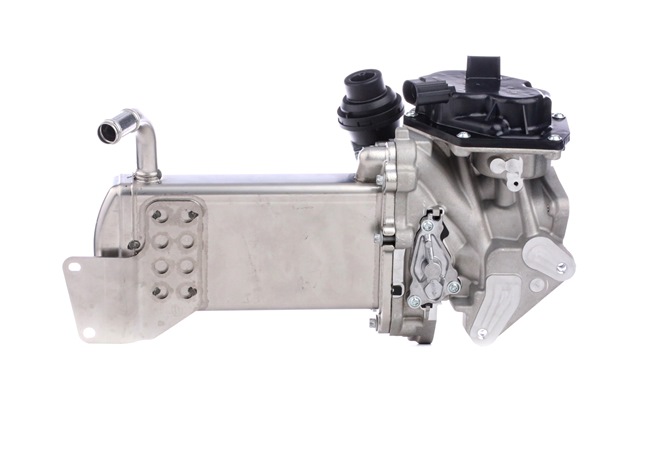 STARK SKEGR-0770189 EGR ventil VW Amarok 2H 2.0 BiTDI 180 KS nafta cena
