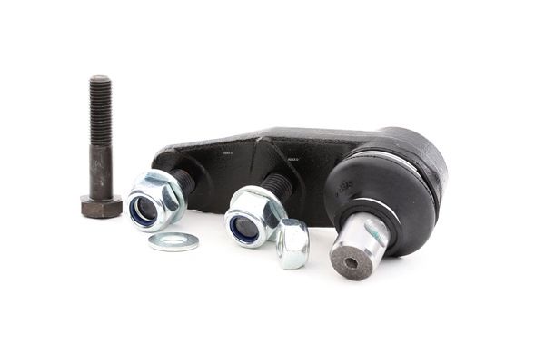 2462S0301 RIDEX Fuseekogels Renault goedkoop