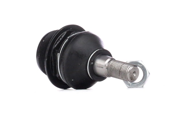RIDEX Fuseekogels RENAULT 2462S0335