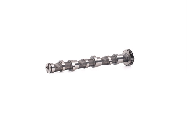 566C0043 RIDEX alberi a camme Audi A6 C5 Avant 2.5 TDI 163 CV Diesel prezzo