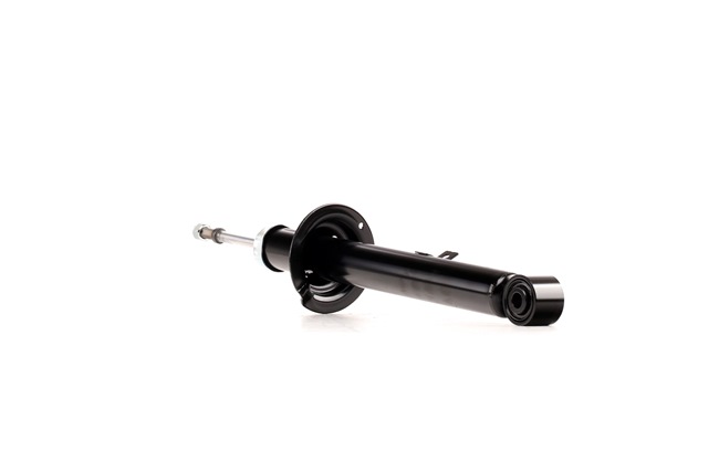 RIDEX 854S2043 Amort