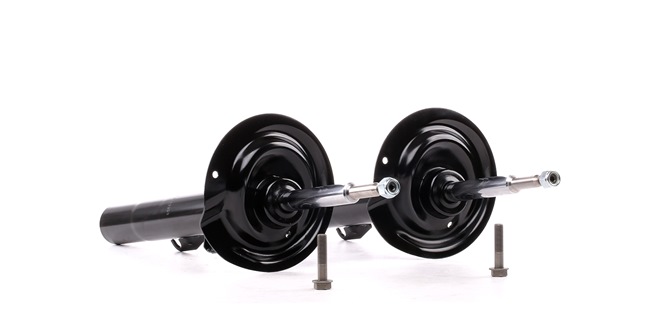 RIDEX 854S2079 Amortizators