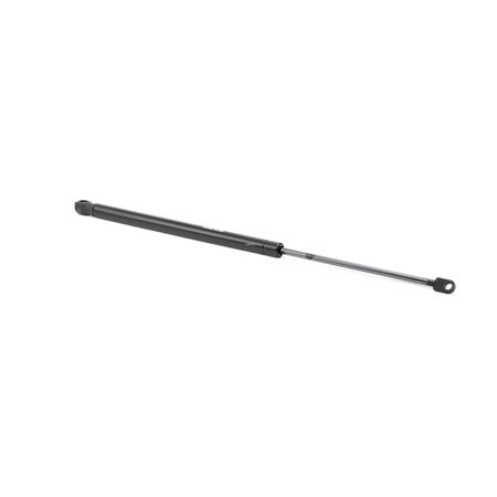 RIDEX 219G0828 Baklukedemper