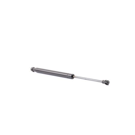 RIDEX 219G0843 Vérin de coffre