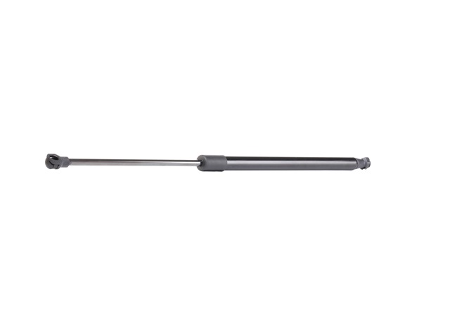 RIDEX 219G0858 Vérin de coffre
