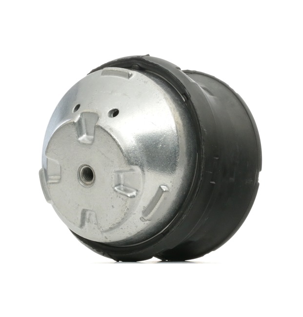 Supporto motore 247E0213 RIDEX 202 240 28 17 Volkswagen