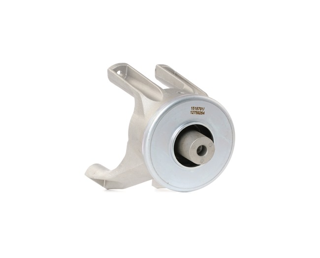 RIDEX 247E0236 Motora stiprinājums VW T5 Van 2.5 TDI 130 ZS Dīzelis cena