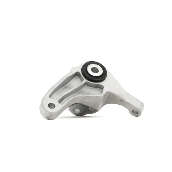 RIDEX 247E0254 Motorfeste