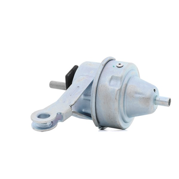 RIDEX 247E0262 Motorfeste