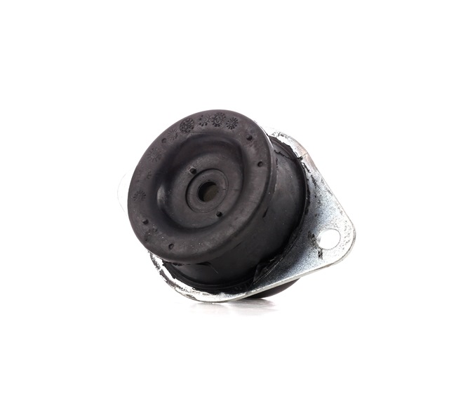 247E0295 RIDEX Motorhalterung NISSAN Kosten
