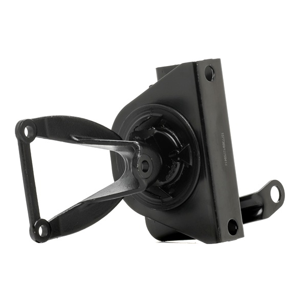 Pidike, moottorintuenta 247E0299 RIDEX 46528850 FIAT