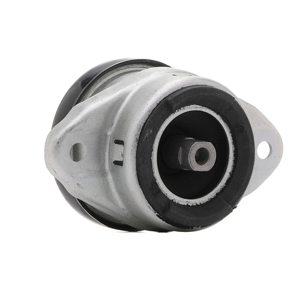 RIDEX 247E0307 Motorfeste