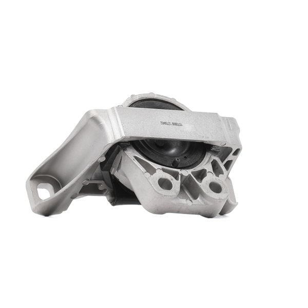 RIDEX 247E0312 Motorlager Ford Kuga Mk2 2.0 TDCi 4x4 180 PS Diesel Kosten