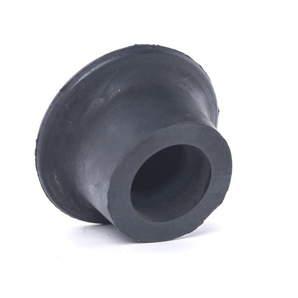 RIDEX 247E0348 Supporto motore