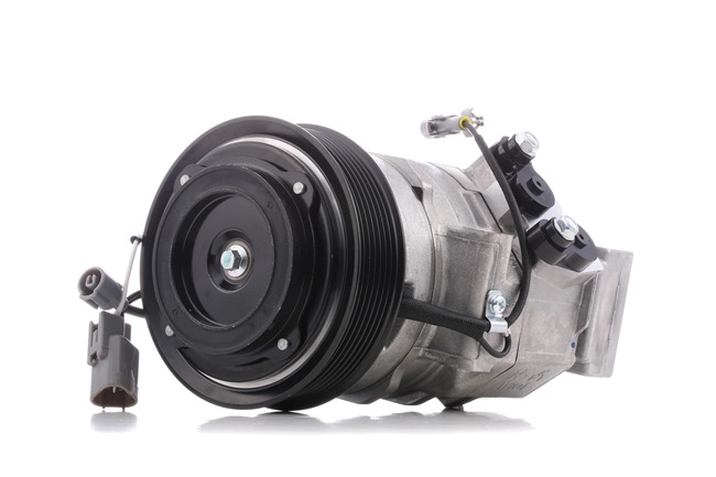RIDEX 447K0248 Aircopomp