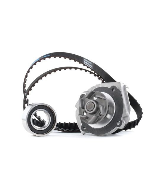 Kit de distribution + pompe à eau SKWPT-0750177 STARK 7691820 FORD