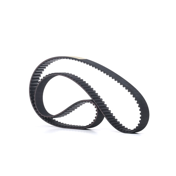 SEAT kamrem RIDEX 306T0240