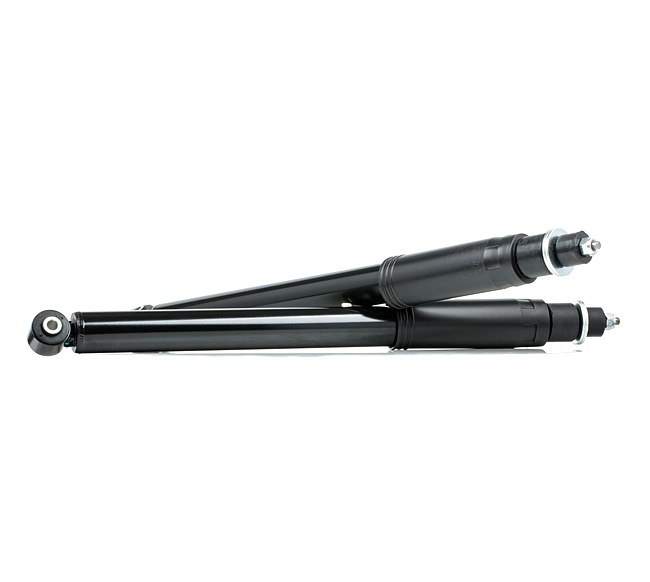 RIDEX 854S2094 Shock absorber