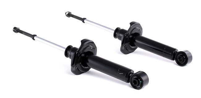 RIDEX 854S2139 Amortisseur