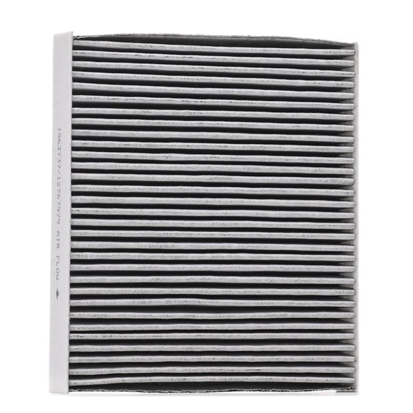 Filtrs, Salona telpas gaiss 424I0417 RIDEX 95850-61M00 HYUNDAI