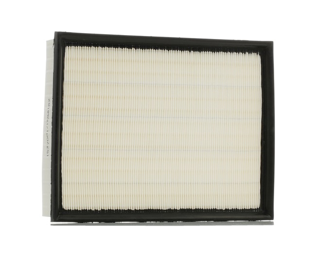 Filtre à air 8A0650 RIDEX 5189 933AA MERCEDES-BENZ