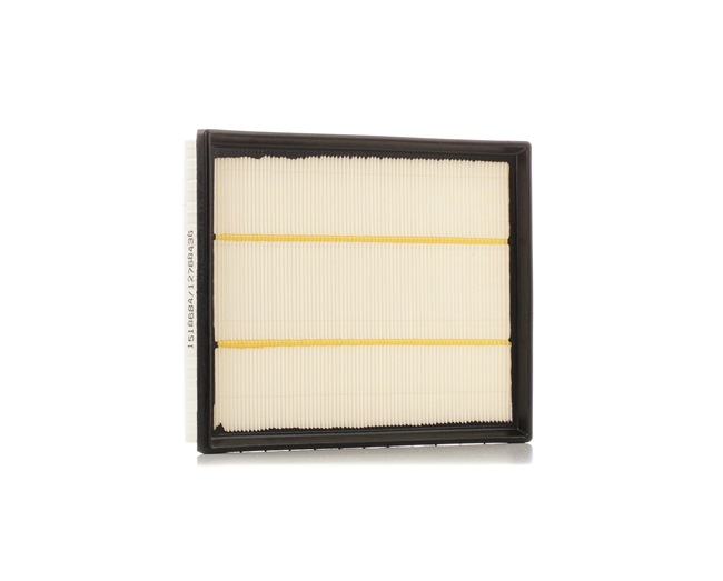 RIDEX 8A0760 Air filter