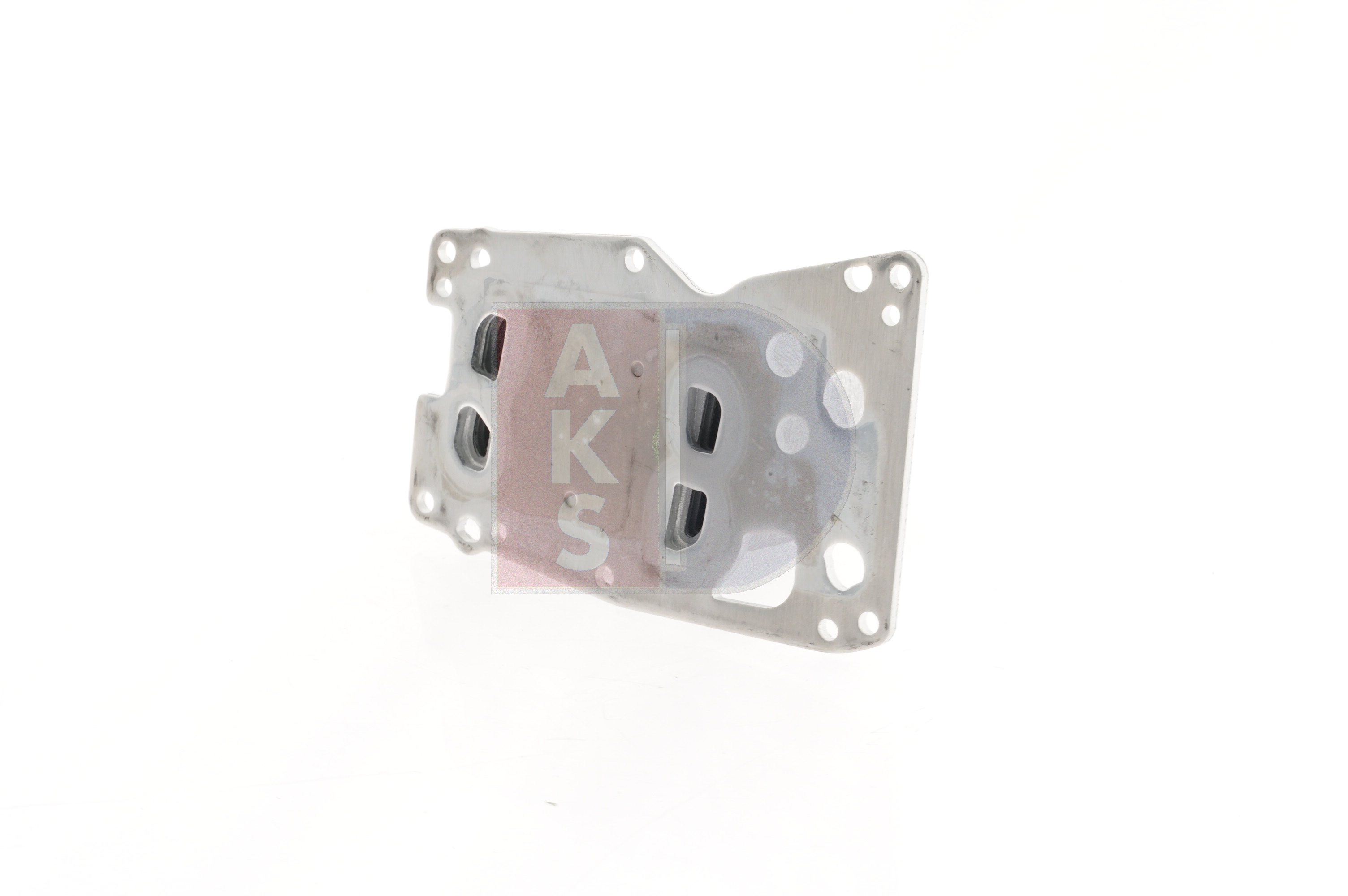 056064N AKS DASIS changer radiateur d'huile moteur BMW F07 prix