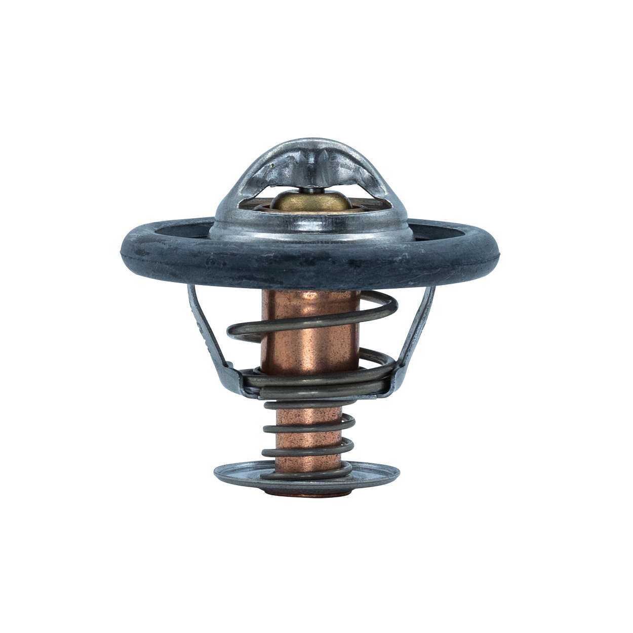 Termostaat MOTORAD Volkswagen TIGUAN 363-88K