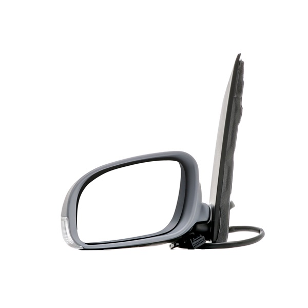 Ulkopeili 5856817 VAN WEZEL 1T1857507M VW