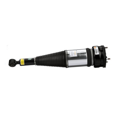 Arnott AS-2894 Ammortizzatore pneumatico