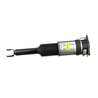 Arnott AS-2966 Amortisseur pneumatique