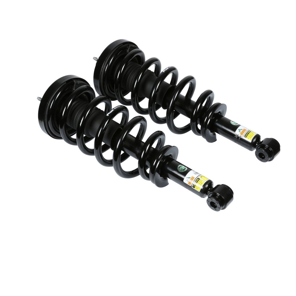 Arnott C-2529 Fahrwerkssatz, Federn / Dämpfer FORD USA Expedition Mk3 SUV (U324) 5.4 XLS 305 PS Benzin Kosten