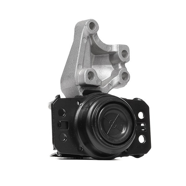 TEDGUM TED40006 Suporte, motor
