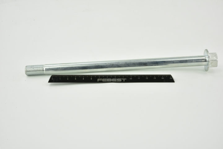 FEBEST 0829-003 Camberbult