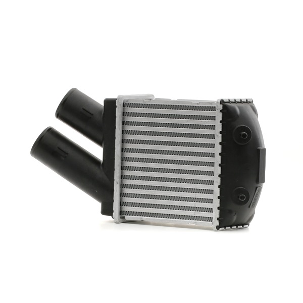 STARK SKICC-0890060 Intercooler Renault Scenic 1 1.9 dCi RX4 101 PS Diesel Kosten