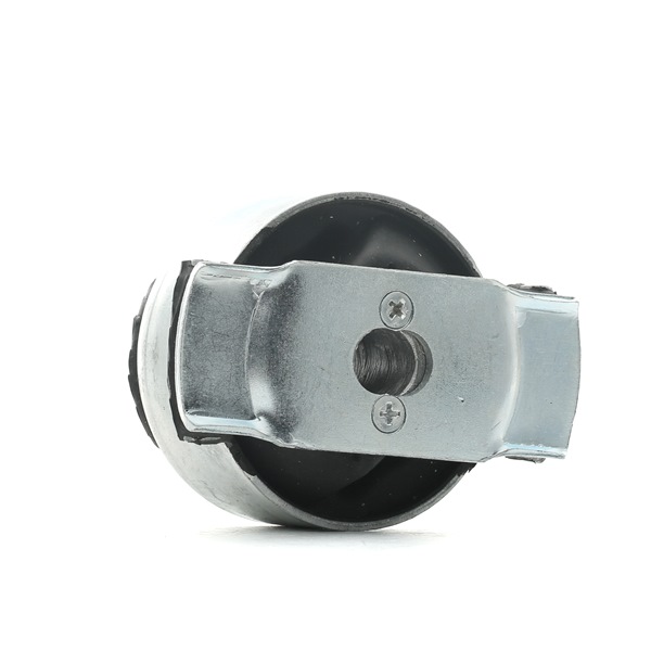 Mounting axle bracket RIDEX 1080M0002 cheap