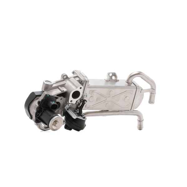 MAGNETI MARELLI 571822112070 EGR-ventil