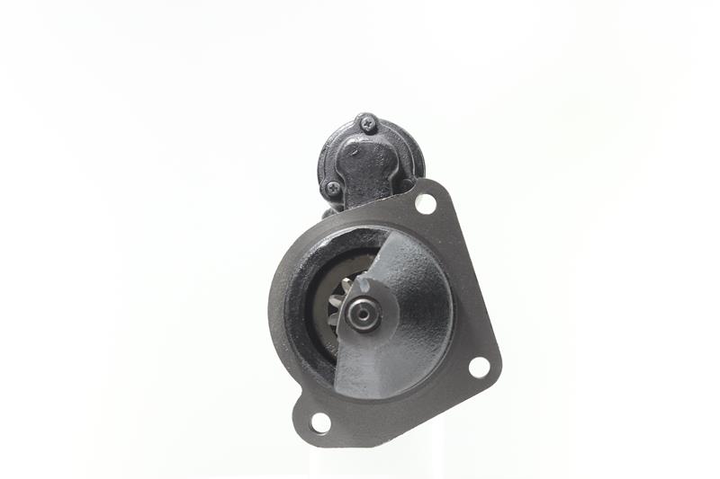 Żarówka, oświetlenie tablicy rejestracyjnej 10439428 ALANKO 30230 Volkswagen