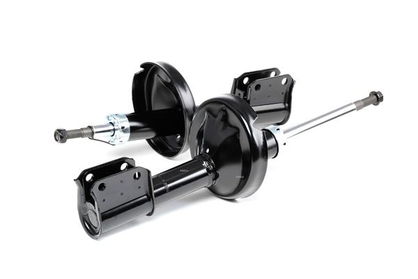 RIDEX 854S1589 Dämpfer Renault Clio 2 1.5 dCi 65 PS Diesel Kosten