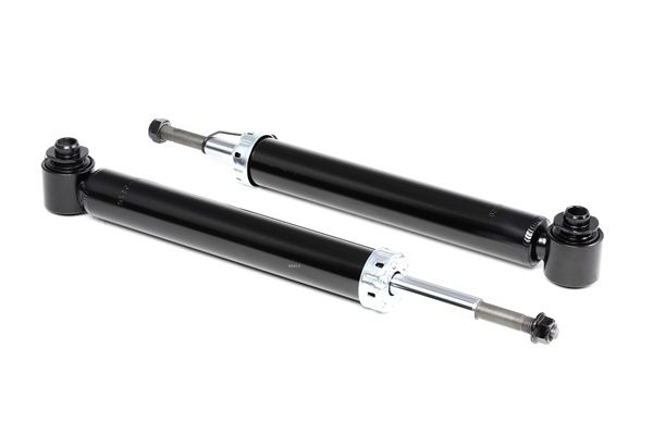Amort 854S1700 RIDEX 33 52 1 095 096 BMW