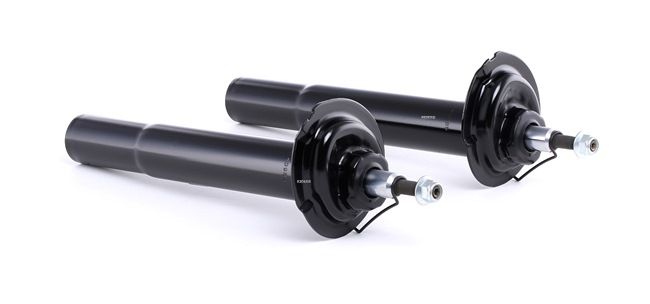 Schokdemper 854S1876 RIDEX 31311096863 BMW