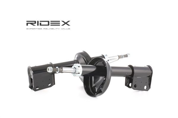 RIDEX 854S1884 Amortecedor de suspensão Renault Kangoo Express D 65 1.9 64 cv Diesel preço