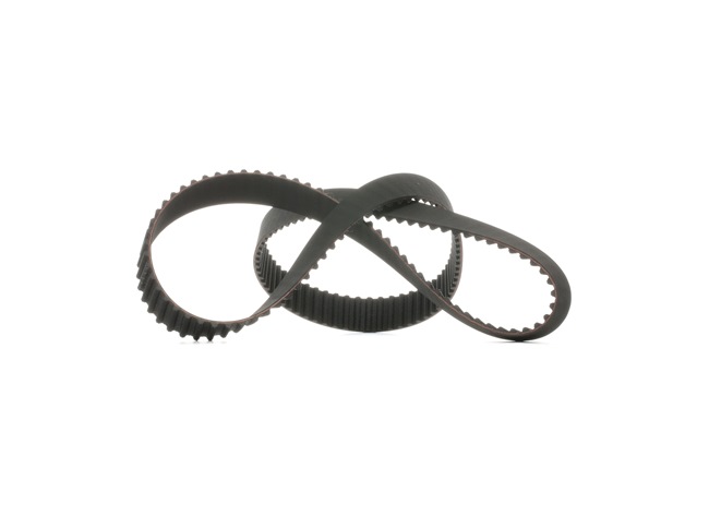 RIDEX 306T0216 Correa dentada