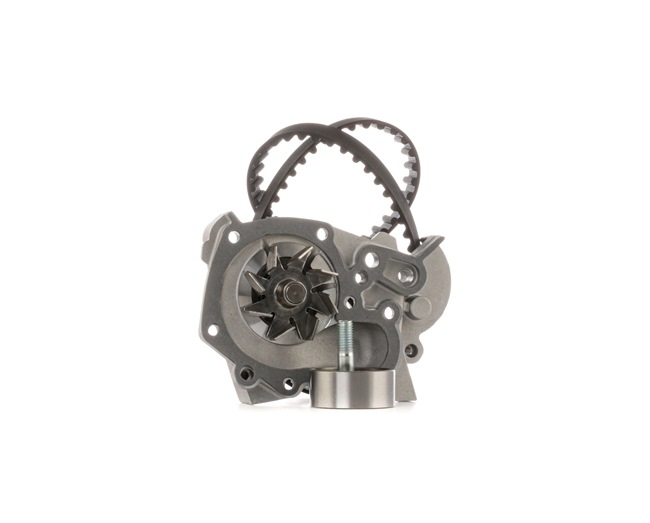 RIDEX 3096W0111 Zahnriemenwechsel-Set Renault 19 B/C53 1.4 75 PS Benzin Kosten