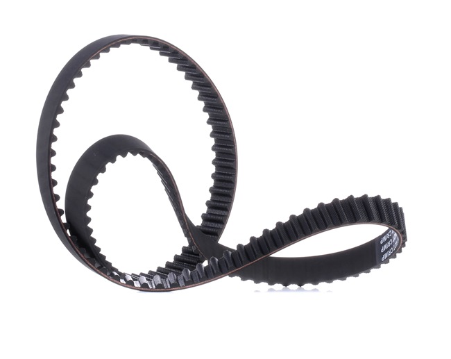 RIDEX 306T0166 Correa dentada